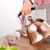 Whistling Kettle For Gas Stove Bouilloire 2l Stainless Steel Whistle Teabottle|water Kettle