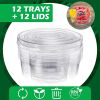 12 Pcs Round Appetizer Serving Trays With Lids 5 Compartment Container Fruit Vegetable Divided Storage Organizer